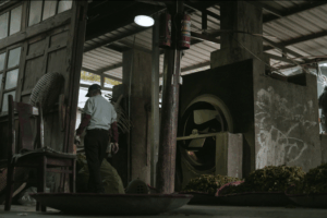 Master_Lin_Yunlian_Reveals_Secrets_of_Taiwan_s_Rare_Blue_Oolong_Tea_poster - Khabar Asia Master_Lin_Yunlian_Reveals_Secrets_of_Taiwan_s_Rare_Blue_Oolong_Tea video poster