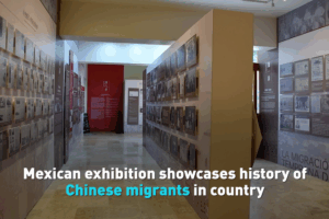Mexico_City_Exhibit_Celebrates_Centuries_Old_Chinese_Migrant_Legacy video poster