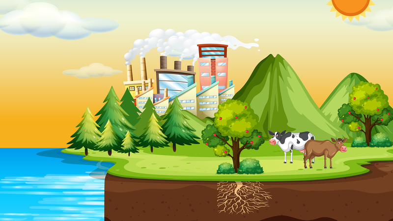 New_Model_Boosts_Global_Carbon_Cycle_Accuracy