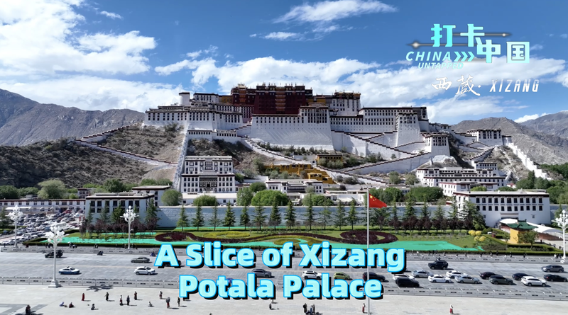 Potala Palace: A Timeless Icon Through Local Eyes Potala_Palace__A_Timeless_Icon_Through_Local_Eyes video poster