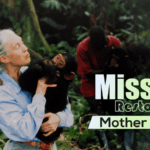 Primatologist_Jane_Goodall_Passes_Away_at_91__Leaves_Lasting_Legacy video poster