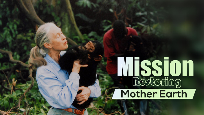 Primatologist_Jane_Goodall_Passes_Away_at_91__Leaves_Lasting_Legacy_poster - Khabar Asia Primatologist_Jane_Goodall_Passes_Away_at_91__Leaves_Lasting_Legacy video poster