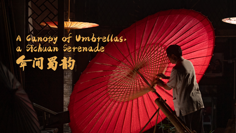 QNZ62KWT3LL51OARTQBF - Khabar Asia Sichuan’s Oil-Paper Umbrellas: A Family’s Legacy of Craftsmanship video poster