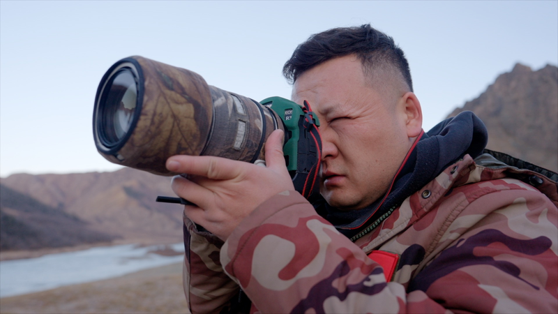 Rare Snow Leopards Thrive in Xinjiang Amid Conservation Efforts Rare_Snow_Leopards_Thrive_in_Xinjiang_Amid_Conservation_Efforts video poster