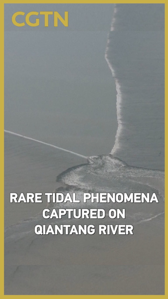 Rare Tidal Wonders Illuminate Qiantang River’s Natural Majesty Rare_Tidal_Wonders_Illuminate_Qiantang_River_s_Natural_Majesty video poster