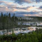 Russia_Launches_Pioneering_Arctic_Forest_Climate_Project_to_Boost_Carbon_Monitoring