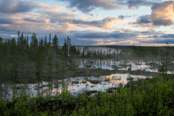 Russia Launches Pioneering Arctic Forest-Climate Project to Boost Carbon Monitoring Russia_Launches_Pioneering_Arctic_Forest_Climate_Project_to_Boost_Carbon_Monitoring
