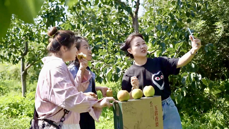 Shanxi_s_Yulu_Pears_Sweeten_Rural_Revitalization_Efforts_poster - Khabar Asia Shanxi_s_Yulu_Pears_Sweeten_Rural_Revitalization_Efforts video poster