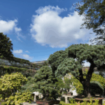 Suzhou_s_Architectural_Wonders__Where_History_Meets_Modern_Design