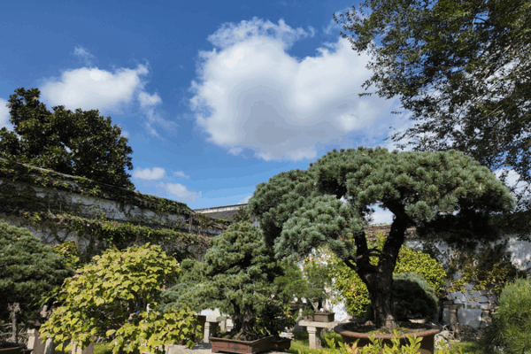 Suzhou’s Architectural Wonders: Where History Meets Modern Design Suzhou_s_Architectural_Wonders__Where_History_Meets_Modern_Design