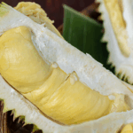 Thai_Durian_Goes_Digital__How_Tech_Fuels_Record_Exports_to_China - Khabar Asia Thai_Durian_Goes_Digital__How_Tech_Fuels_Record_Exports_to_China