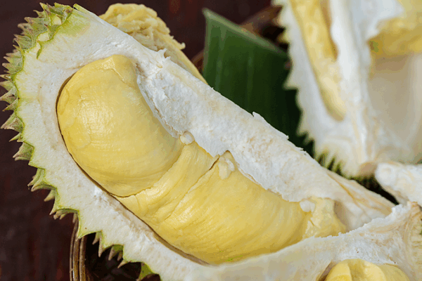 Thai Durian Goes Digital: How Tech Fuels Record Exports to China Thai_Durian_Goes_Digital__How_Tech_Fuels_Record_Exports_to_China