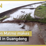 Typhoon_Matmo_Batters_Guangdong__Emergency_Measures_Activated_poster - Khabar Asia Typhoon_Matmo_Batters_Guangdong__Emergency_Measures_Activated video poster