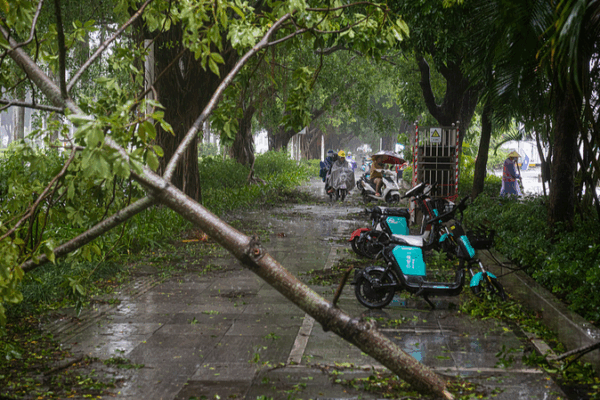 Typhoon Matmo Weakens in Southern China, Relief Efforts Intensify Typhoon_Matmo_Weakens_in_Southern_China__Relief_Efforts_Intensify