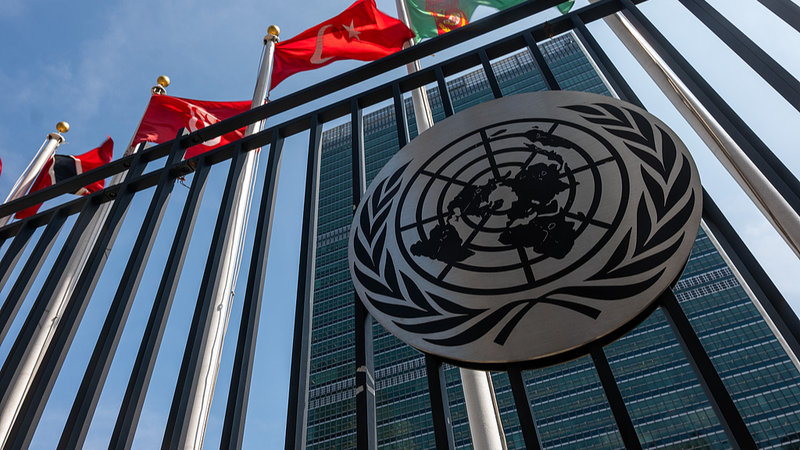 UN at 80: Experts Weigh Future of Global Cooperation UN_at_80__Experts_Weigh_Future_of_Global_Cooperation