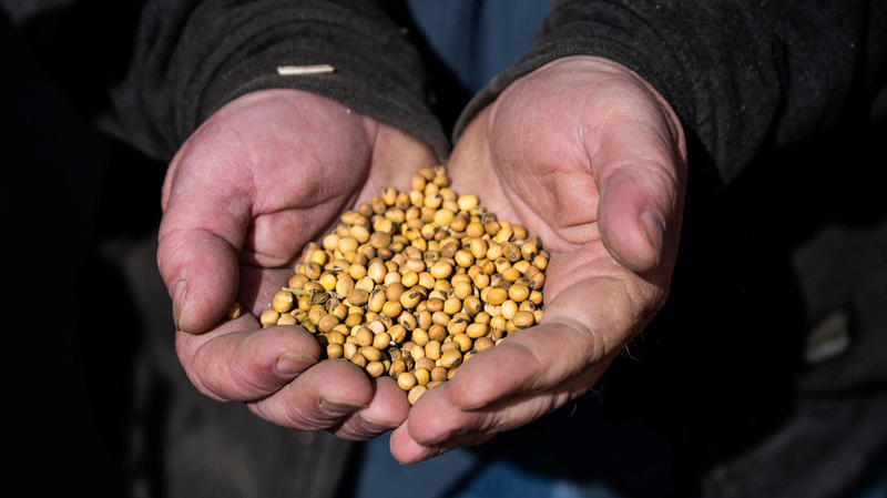 US-China Tariff Tensions Squeeze American Farmers, Threaten Trade Balance US_China_Tariff_Tensions_Squeeze_American_Farmers__Threaten_Trade_Balance