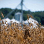 US_Farmers_Face_Dual_Crisis_as_Shutdown__Tariffs_Strain_Agriculture_Sector - Khabar Asia US_Farmers_Face_Dual_Crisis_as_Shutdown__Tariffs_Strain_Agriculture_Sector