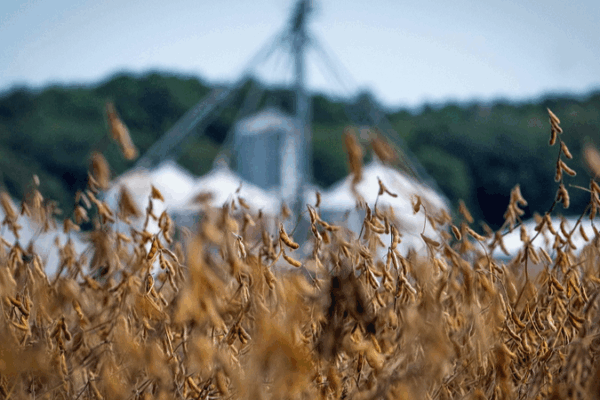 US Farmers Face Dual Crisis as Shutdown, Tariffs Strain Agriculture Sector US_Farmers_Face_Dual_Crisis_as_Shutdown__Tariffs_Strain_Agriculture_Sector