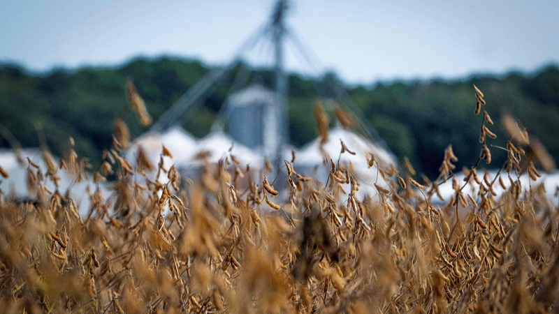 US_Farmers_Face_Dual_Crisis_as_Shutdown__Tariffs_Strain_Agriculture_Sector - Khabar Asia US_Farmers_Face_Dual_Crisis_as_Shutdown__Tariffs_Strain_Agriculture_Sector