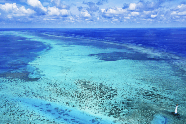 U.S. Navy Aircraft Incidents in South China Sea Spark Regional Attention U_S__Navy_Aircraft_Incidents_in_South_China_Sea_Spark_Regional_Attention