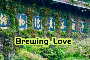 U_S__Officials_Sip_Chinese_Tea_Culture_at_National_Museum video poster