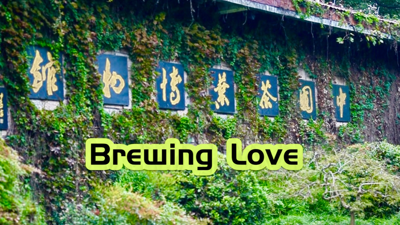 U_S__Officials_Sip_Chinese_Tea_Culture_at_National_Museum_poster - Khabar Asia U_S__Officials_Sip_Chinese_Tea_Culture_at_National_Museum video poster