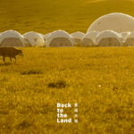 Ulanqab_Grasslands__Where_Herds_and_Harmony_Shape_the_Steppe - Khabar Asia Ulanqab_Grasslands__Where_Herds_and_Harmony_Shape_the_Steppe