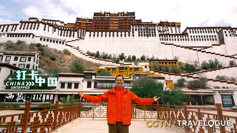 Unveiling the Hidden Treasures of Tibet’s Potala Palace Unveiling_the_Hidden_Treasures_of_Tibet_s_Potala_Palace video poster