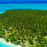 Wakatobi__Indonesia_s_Marine_Jewel_Shines_Ahead_of_APEC_2025