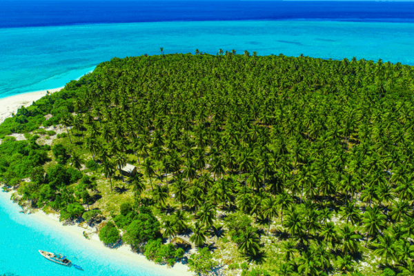 Wakatobi: Indonesia’s Marine Jewel Shines Ahead of APEC 2025 Wakatobi__Indonesia_s_Marine_Jewel_Shines_Ahead_of_APEC_2025