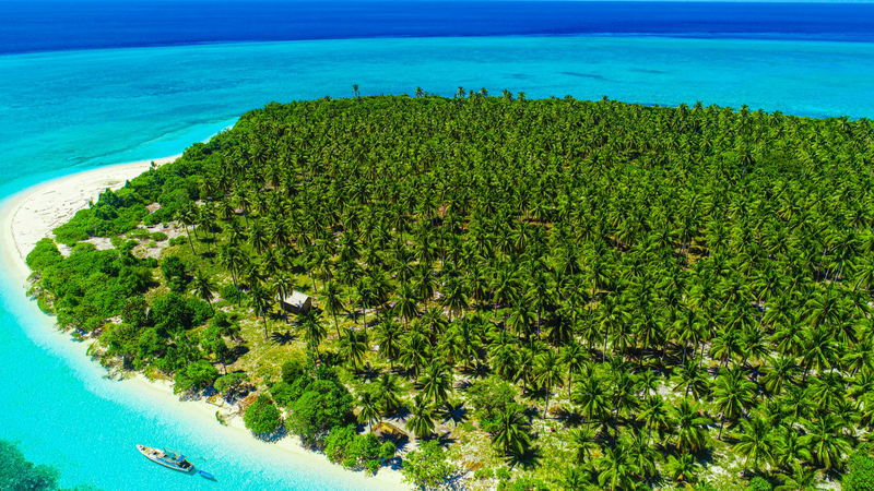 Wakatobi__Indonesia_s_Marine_Jewel_Shines_Ahead_of_APEC_2025