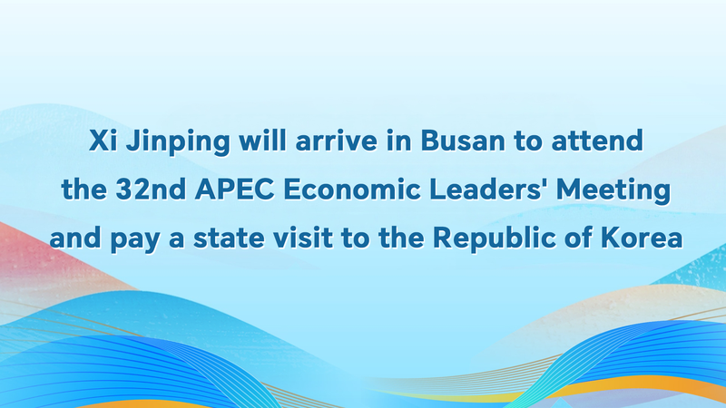 Xi_Jinping_Arrives_in_ROK_for_APEC_Talks__State_Visit video poster