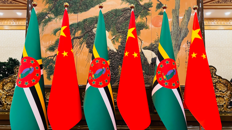 Xi_Jinping__Dominica_s_President_Discuss_Bilateral_Ties_in_Beijing_Meeting
