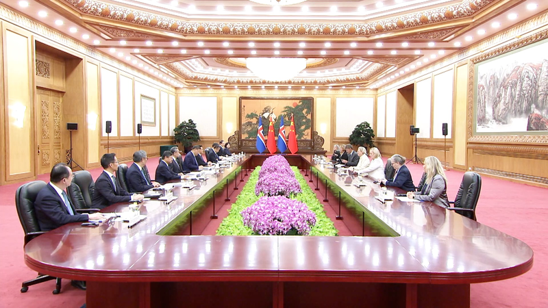Xi_Stresses_China_Iceland_Ties__Gender_Equality_at_Beijing_Summit video poster