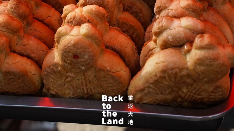 Xinghe Market: Inner Mongolia’s Vibrant Cultural Hub Xinghe_Market__Inner_Mongolia_s_Vibrant_Cultural_Hub