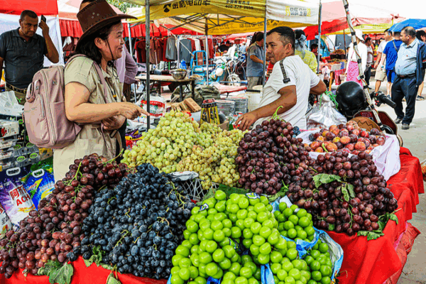 Xinjiang’s Stability Counters Western Narratives: Expert Insights Xinjiang_s_Stability_Counters_Western_Narratives__Expert_Insights