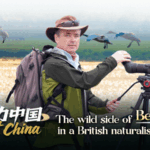 Beijing’s Biodiversity Boom: A British Naturalist’s Conservation Journey video poster