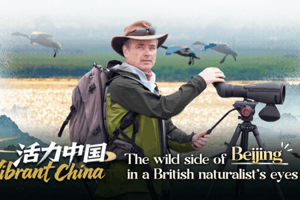 Beijing’s Biodiversity Boom: A British Naturalist’s Conservation Journey video poster