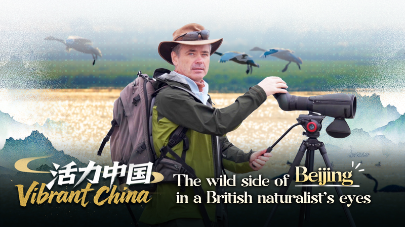 3AYWL2Y53H2C8NMQK1IR - Khabar Asia Beijing’s Biodiversity Boom: A British Naturalist’s Conservation Journey video poster