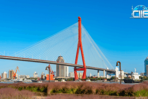 Shanghai’s Yangpu Riverfront: Where Industrial Heritage Meets Modern Serenity video poster
