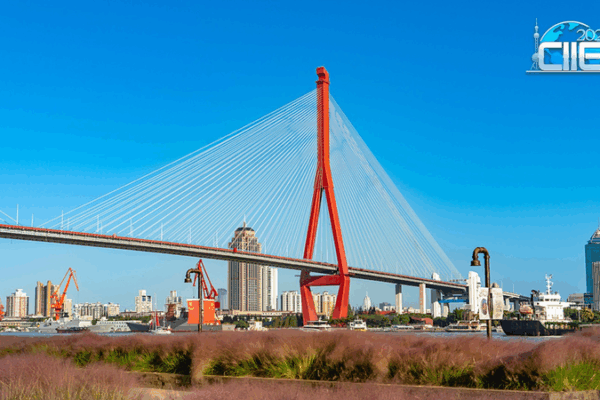 Shanghai’s Yangpu Riverfront: Where Industrial Heritage Meets Modern Serenity video poster