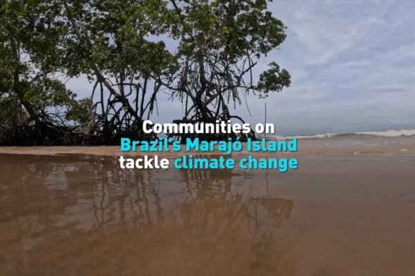 Marajó Island Communities Confront Climate Crisis video poster