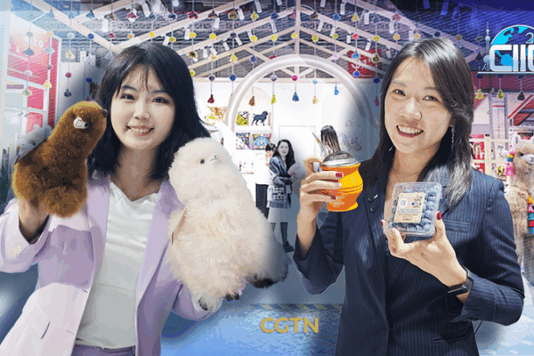 South American Flavors Shine at CIIE’s Global Food Expo video poster