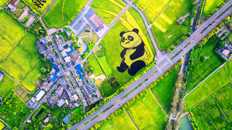 China’s Youth Lead Hunger Fight Through Tech-Driven Education