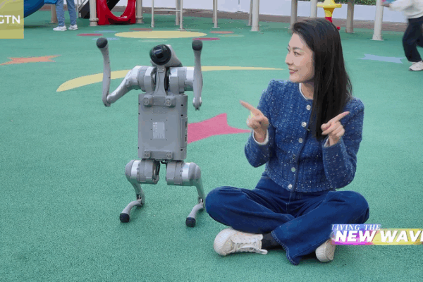 AI_Companionship__From_Plush_Toys_to_Holograms_in_2025 video poster