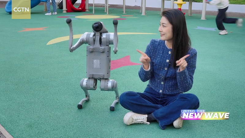 AI_Companionship__From_Plush_Toys_to_Holograms_in_2025 video poster