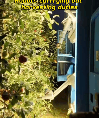 Agri_Bots_Revolutionize_China_s_Orchards_in_2025 video poster