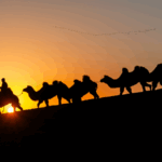 Alxa_Camel_Migration_2025__Nomadic_Life_in_Focus video poster