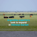 Argentina_Eyes_China_as_Top_Trade_Partner__Exporters_Target_Market_Expansion video poster