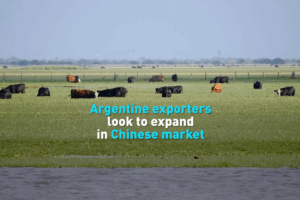 Argentina_Eyes_China_as_Top_Trade_Partner__Exporters_Target_Market_Expansion video poster